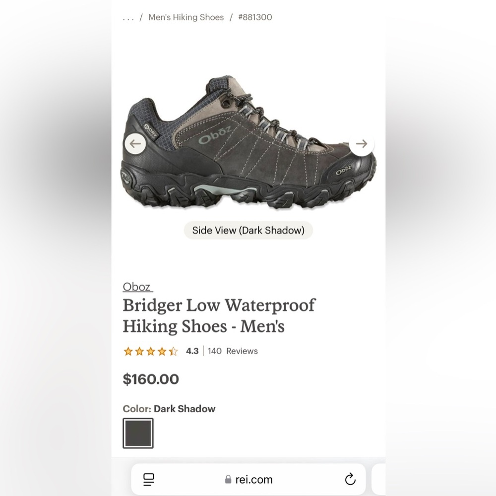 Men’s Oboz Bridger Low Waterproof